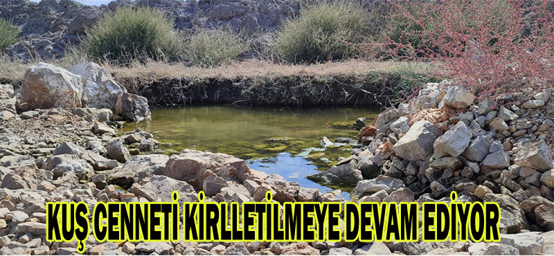 KUŞ CENNETİ KİRLLETİLMEYE DEVAM EDİYOR