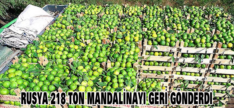 RUSYA 218 TON MANDALİNAYI GERİ GÖNDERDİ
