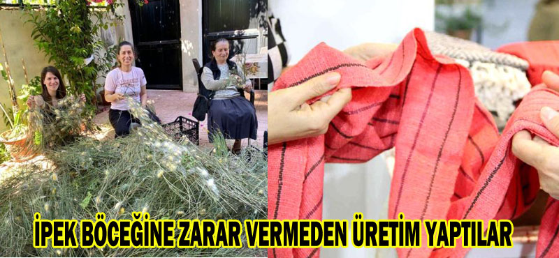 İPEK BÖCEĞİNE ZARAR VERMEDEN ÜRETİM YAPTILAR