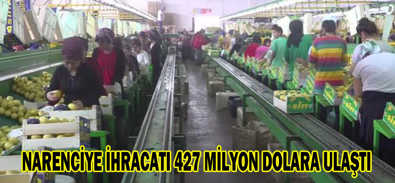 NARENCİYE İHRACATI 427 MİLYON DOLARA ULAŞTI