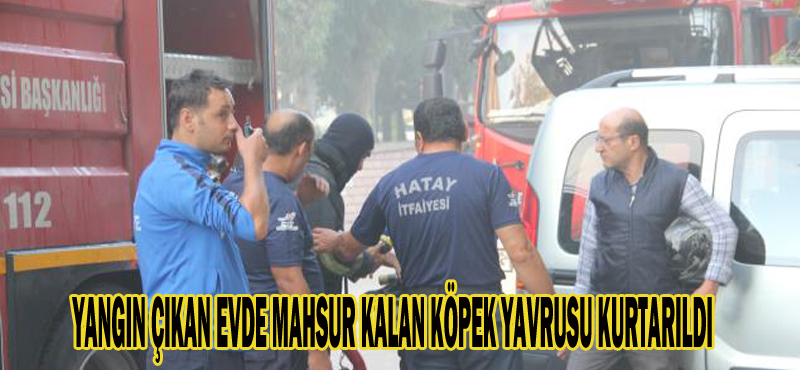 YANGIN ÇIKAN EVDE MAHSUR KALAN KÖPEK YAVRUSU KURTARILDI