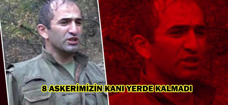 8 ASKERİMİZİN KANI YERDE KALMADI