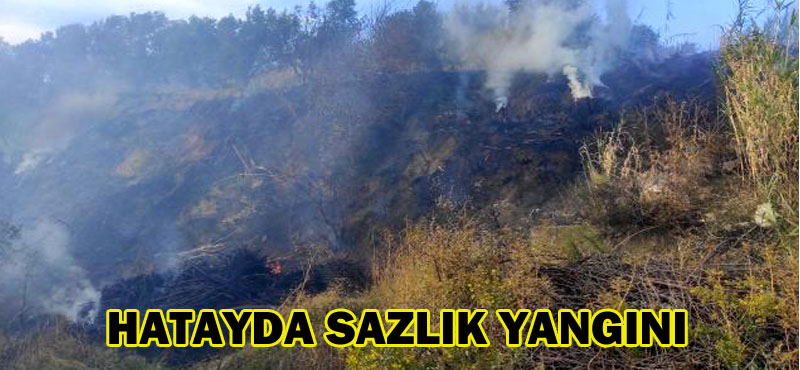 HATAYDA SAZLIK YANGINI