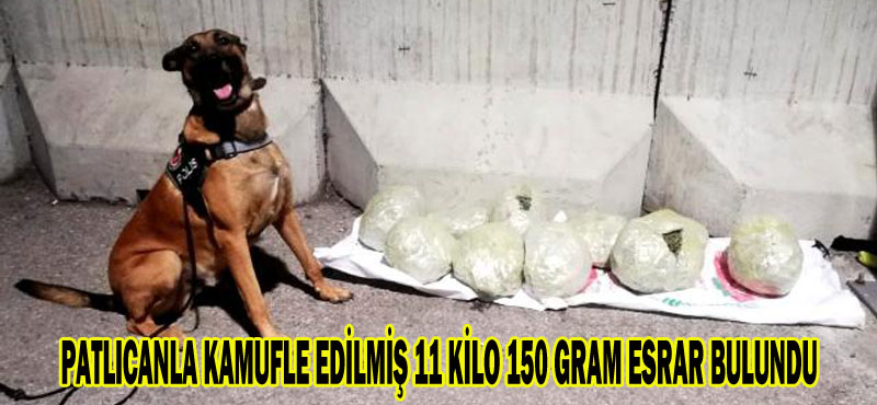 PATLICANLA KAMUFLE EDİLMİŞ 11 KİLO 150 GRAM ESRAR BULUNDU