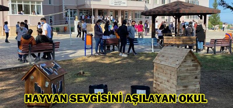HAYVAN SEVGİSİNİ AŞILAYAN OKUL