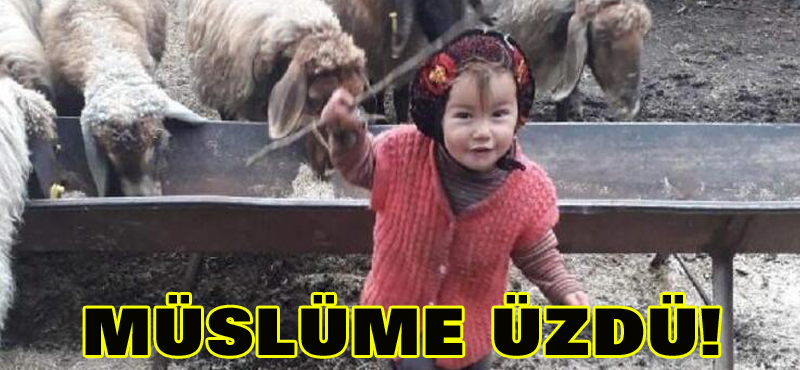 MÜSLÜME ÜZDÜ