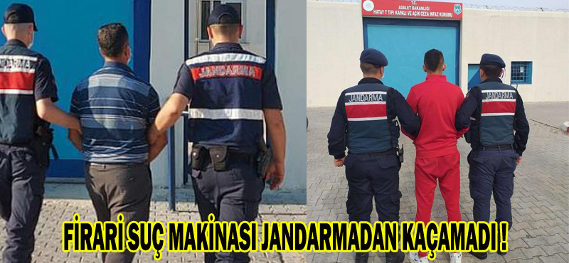 FİRARİ SUÇ MAKİNASI JANDARMADAN KAÇAMADI !