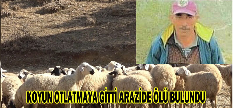 KOYUN OTLATMAYA GİTTİ ARAZİDE ÖLÜ BULUNDU