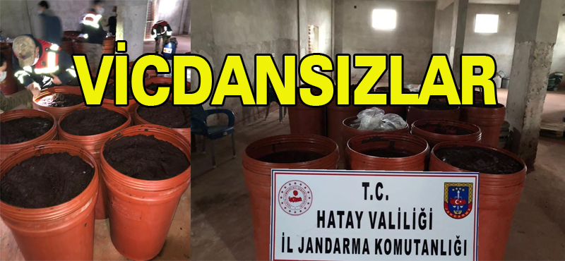 VİCDANSIZLAR