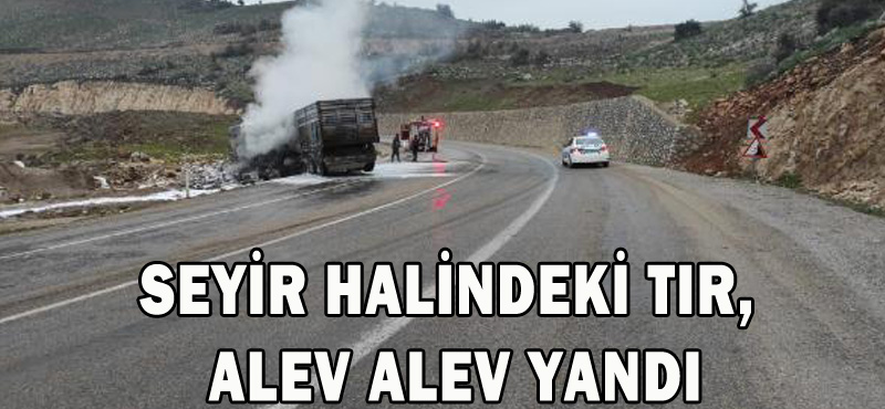 SEYİR HALİNDEKİ TIR, ALEV ALEV YANDI