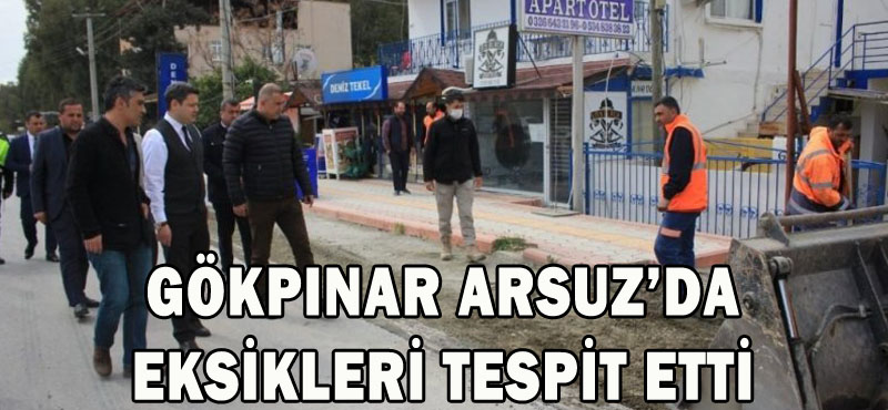 GÖKPINAR ARSUZ’DA EKSİKLERİ TESPİT ETTİ