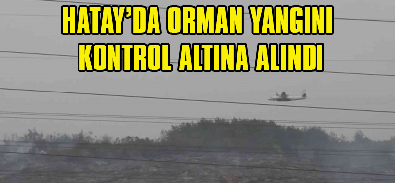 Hatay’da Orman Yangını Kontrol Altına Alındı
