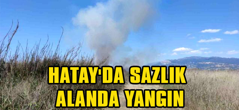 HATAY’DA SAZLIK ALANDA YANGIN