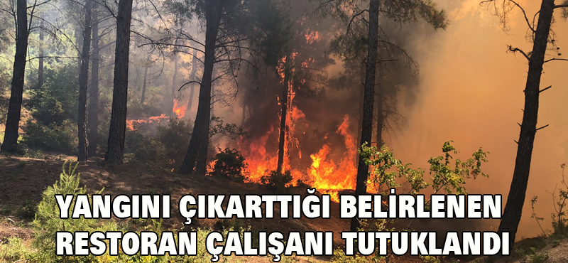 Restoran çalışanı tutuklandı