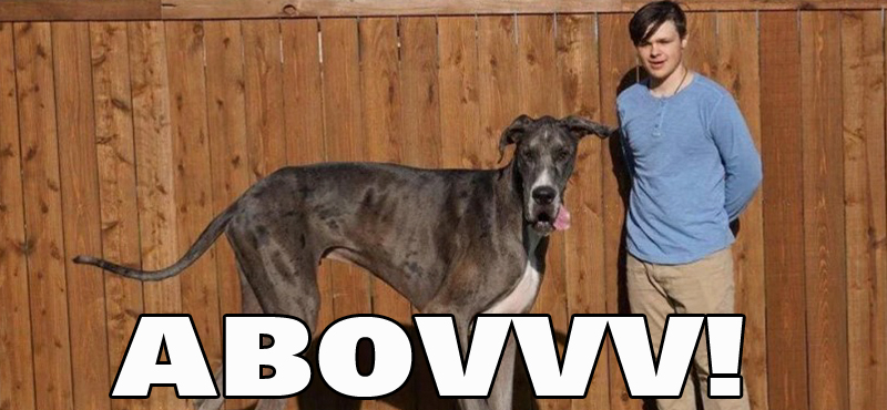 Abovvv!