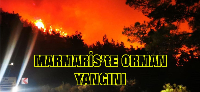 Marmaris’te orman yangını