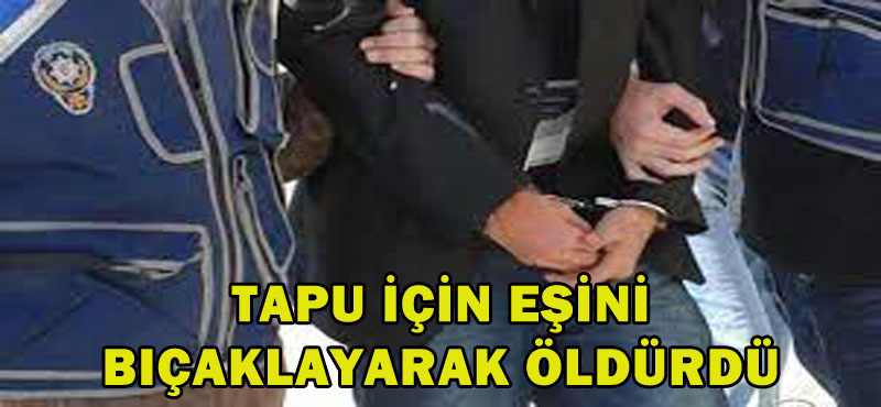 Tapu için eşini bıçaklayarak öldürdü!