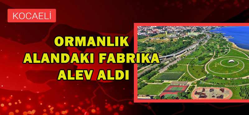 Ormanlık alandaki fabrika alev aldı