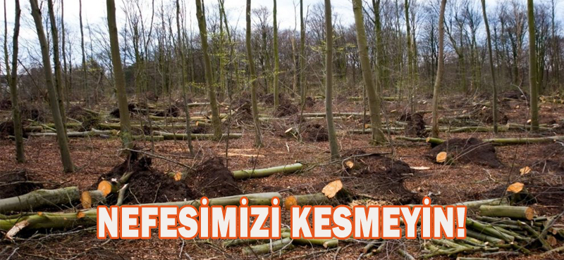 NEFESİMİZİ KESMEYİN!