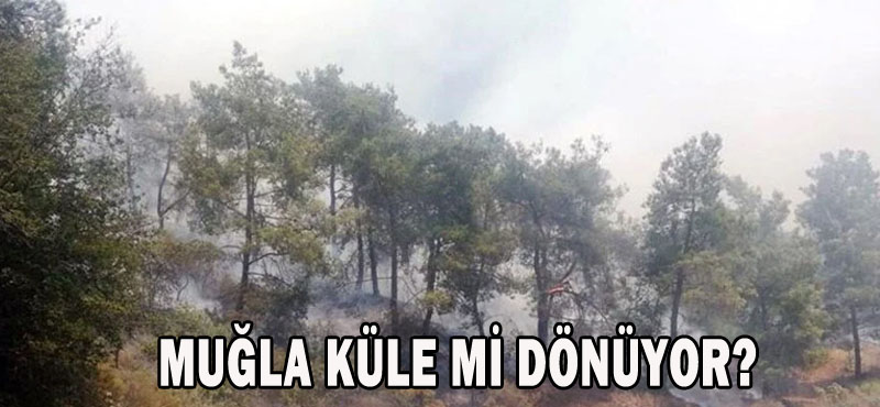 Muğla küle mi dönüyor?