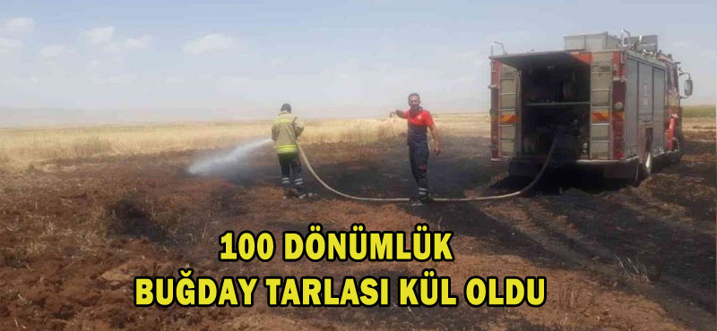 100 dönümlük buğday kül oldu