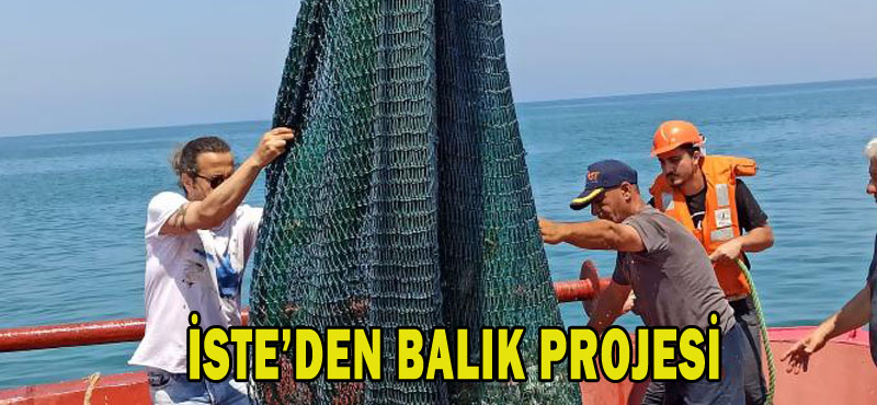 İSTE’den balık projesi