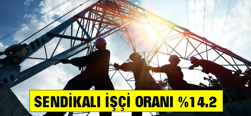 İşçilerin % 14.2’si sendikalı
