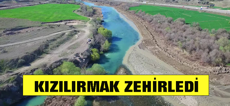 Kızılırmak zehirledi