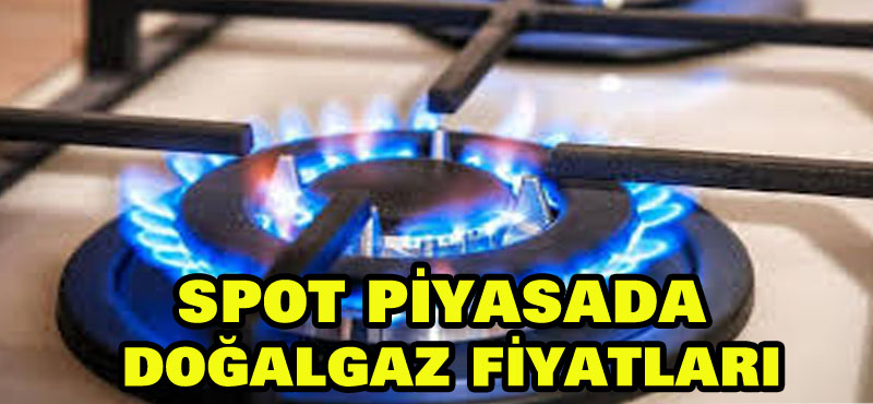 Spot piyasada doğal gaz fiyatları
