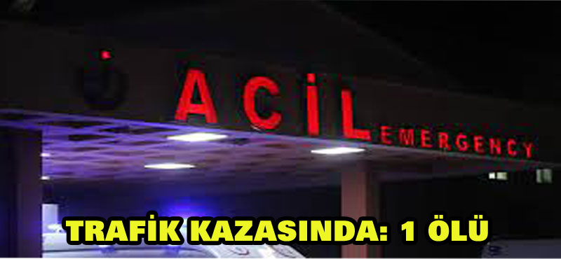 Erzincan’da trafik kazası: 1 ölü