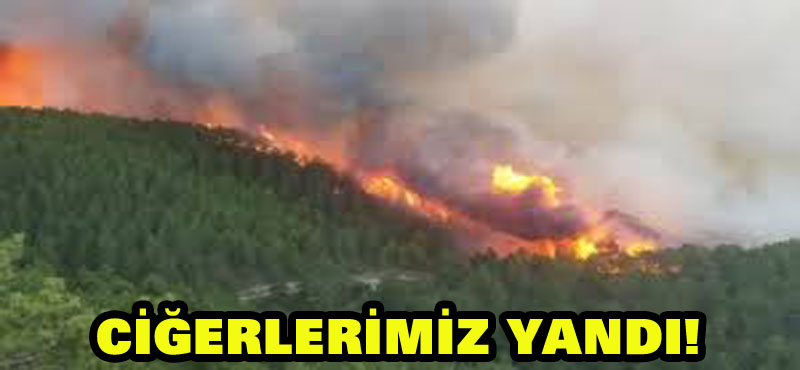 Ciğerlerimiz yandı!