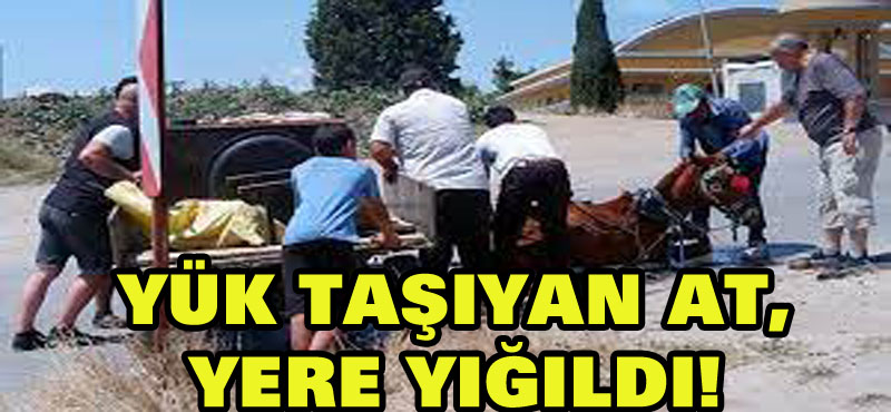40 derecelik havada yük taşıyan at yere yığıldı! Vatandaşlar hemen yardıma koştu!
