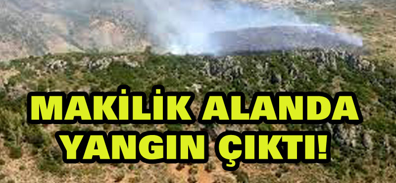 Hatay’da makilik alanda yangın çıktı!