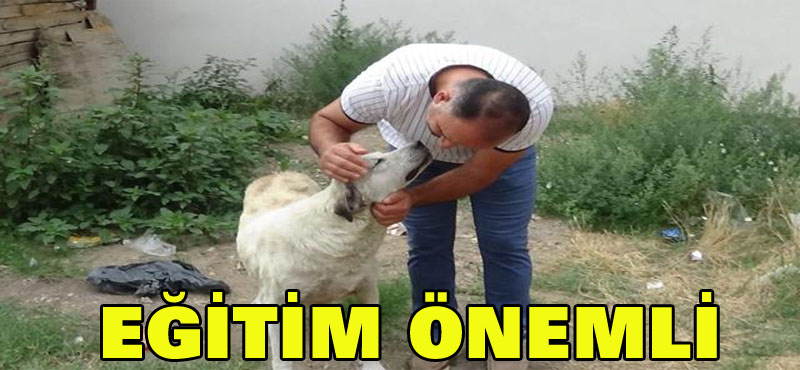 Eğitim şart! Başkasının verdiği ekmeği yemedi, 45 dakika iş yeri sahibinin gelmesini bekledi!
