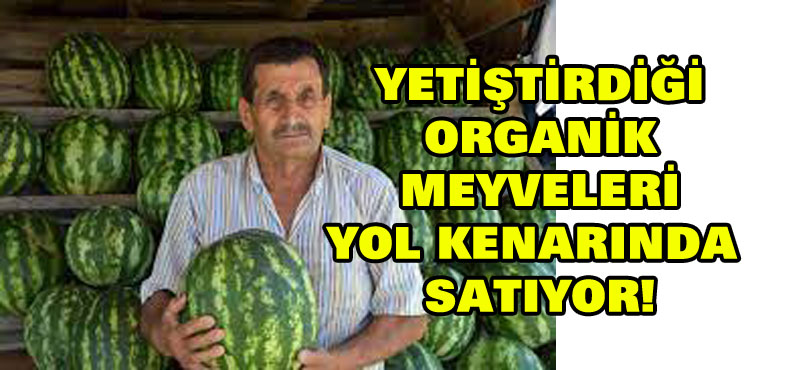 Yetiştirdiği organik karpuzları yol kenarında satıyor