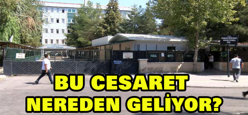 Bu cesaret nereden geliyor?