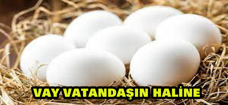 Vay vatandaşın haline! Bir okkalı zam da yumurtaya yapıldı!