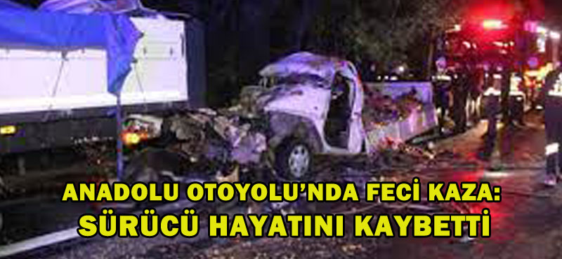 Anadolu Otoyolu’nda feci kaza: Sürücü hayatını kaybetti