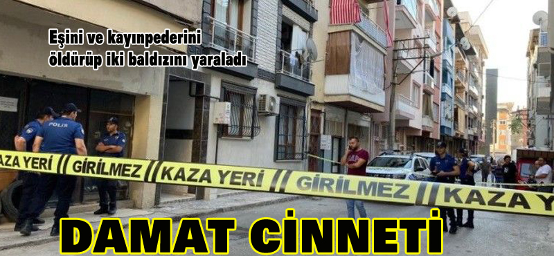 Damat cinneti