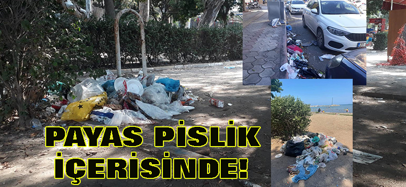 Payas pislik içerisinde