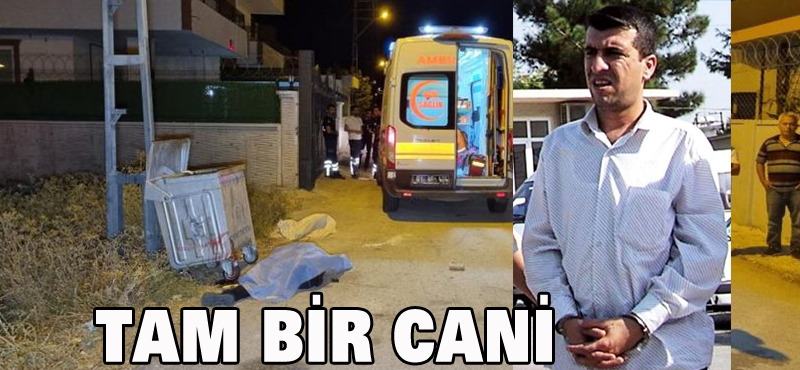 Tam bir cani