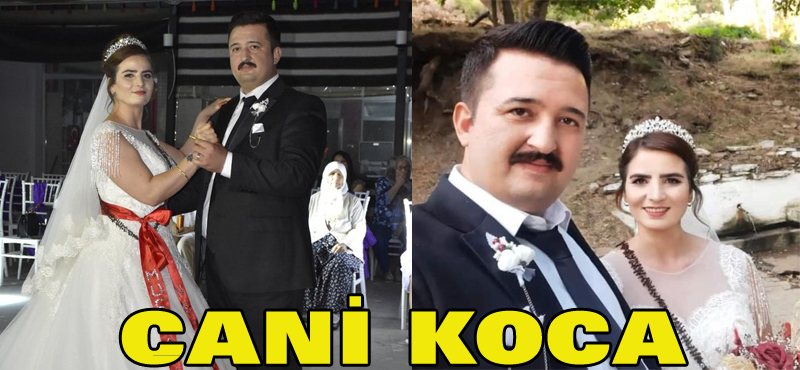 Cani koca