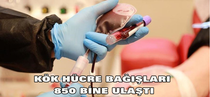 Kök hücre bağışları 850 bine ulaştı