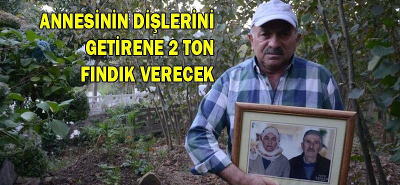 Annesinin dişlerini getirene 2 ton fındık verecek