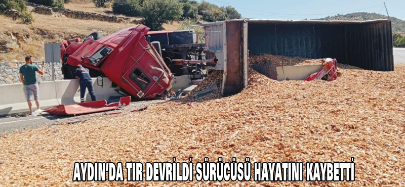 Aydın da tır devrildi sürücüsü öldü