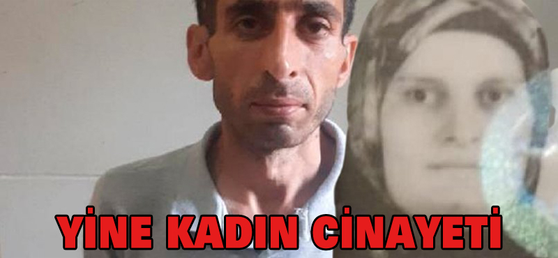 Yine kadın cinayeti