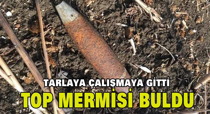 Tarlaya çalışmaya gitti top mermisi buldu