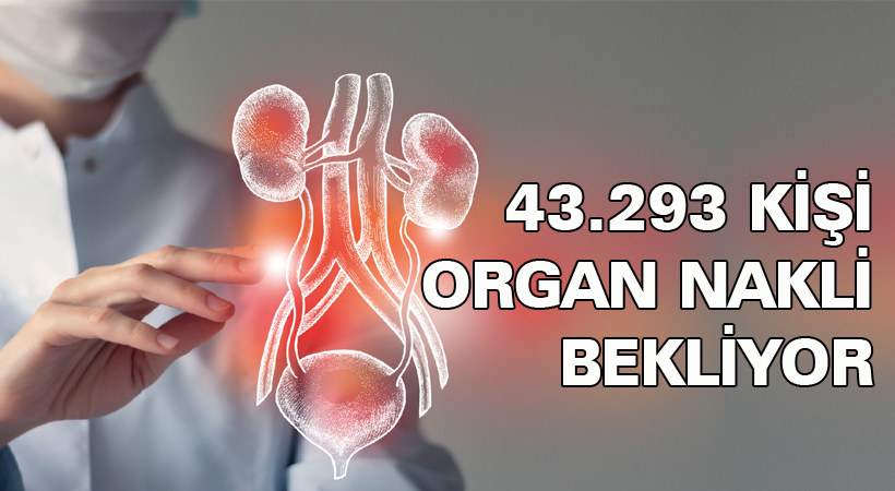 43.293 kişi organ nakli bekliyor