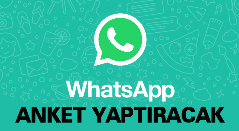 Whatsapp ‘Anket’ yaptıracak