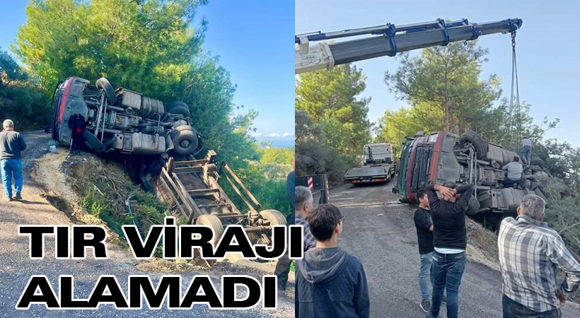 Tır virajı alamadı